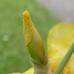 20170524-004